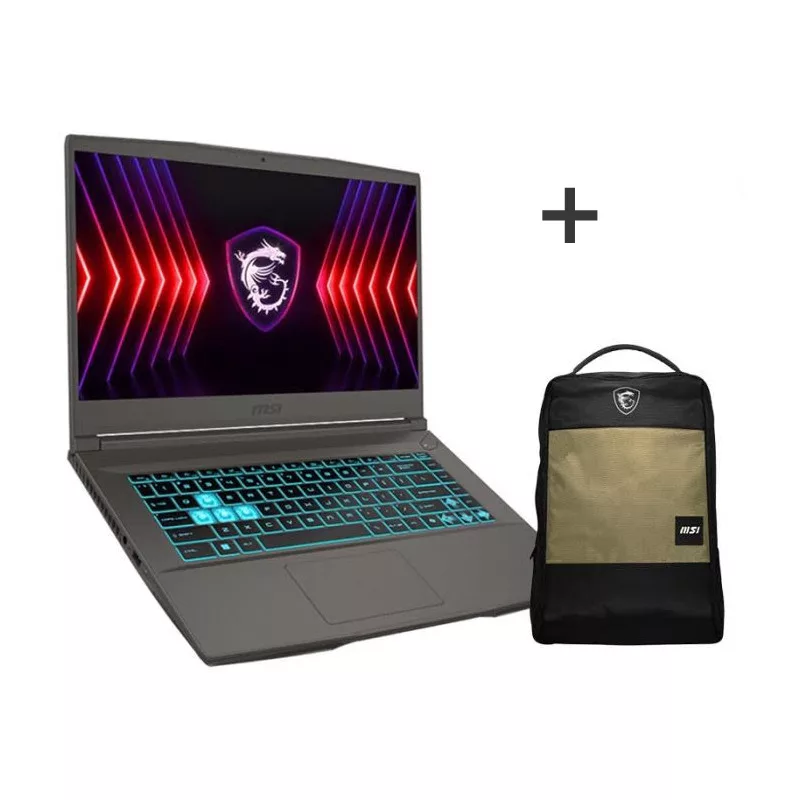 PC Portable Gamer MSI Thin 15 B13UCX i5 13è Gén 8Go RTX 2050