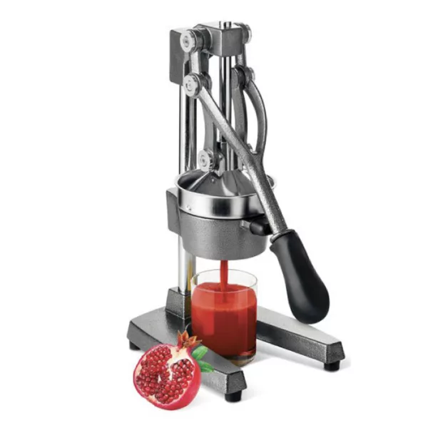 Presse-fruits professionnel Kale 1704 avec bras