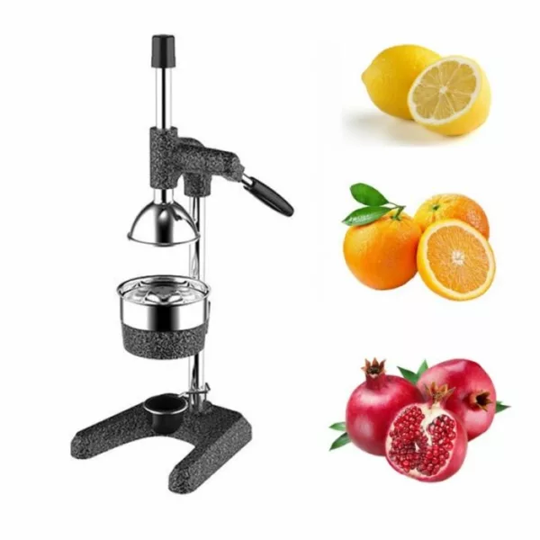 Presse-fruits professionnel Kale 1704 avec bras